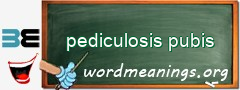 WordMeaning blackboard for pediculosis pubis